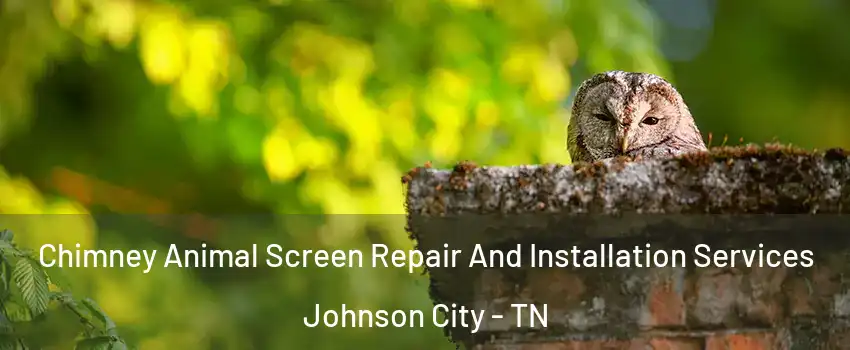  Chimney Animal Screen Repair And Installation Services Johnson City - TN