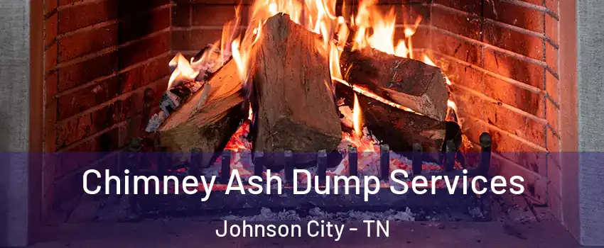  Chimney Ash Dump Services Johnson City - TN