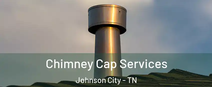  Chimney Cap Services Johnson City - TN
