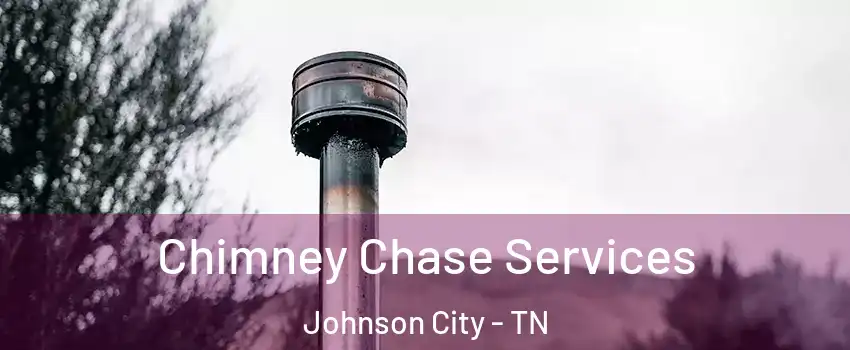  Chimney Chase Services Johnson City - TN