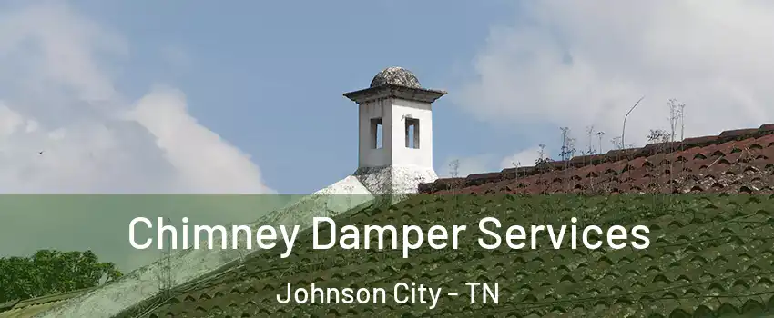  Chimney Damper Services Johnson City - TN