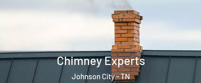  Chimney Experts Johnson City - TN