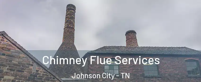  Chimney Flue Services Johnson City - TN