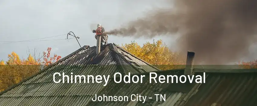  Chimney Odor Removal Johnson City - TN
