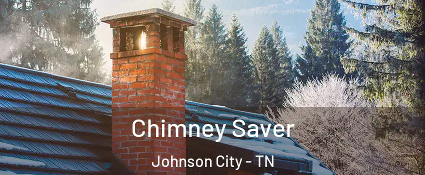  Chimney Saver Johnson City - TN
