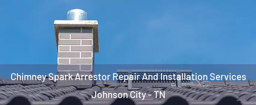  Chimney Spark Arrestor Repair And Installation Services Johnson City - TN