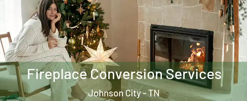  Fireplace Conversion Services Johnson City - TN