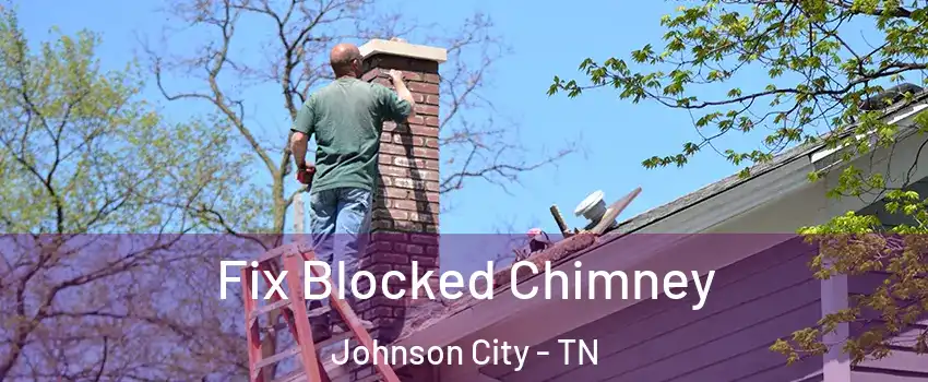  Fix Blocked Chimney Johnson City - TN