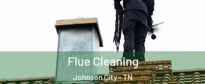  Flue Cleaning Johnson City - TN