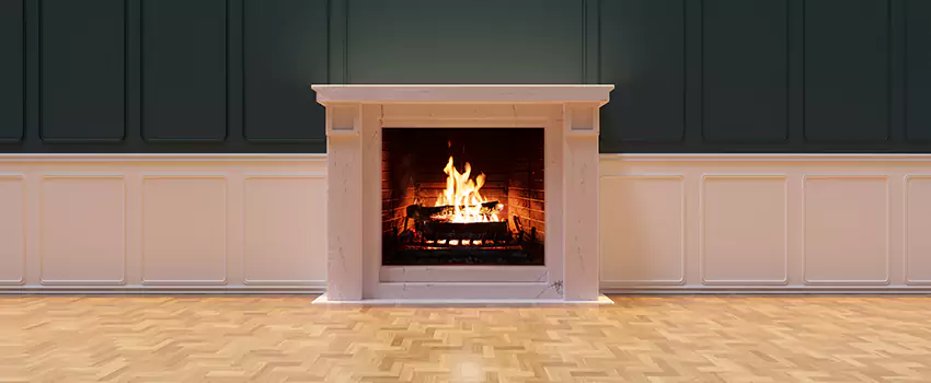 Napoleon Electric Fireplaces Inspection Service in Johnson City, Tennessee