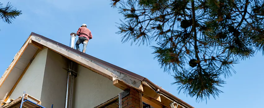Birds Removal Contractors from Chimney in Johnson City, TN