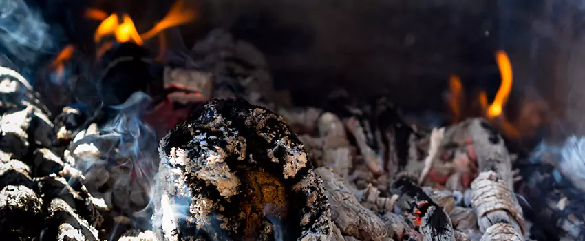Creosote Removal Experts in Johnson City, TN
