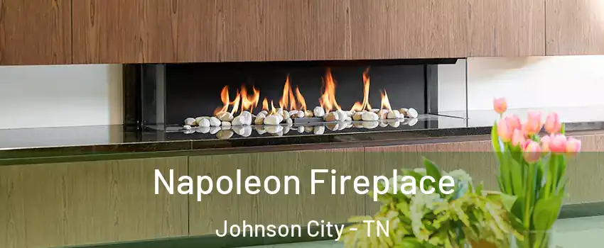  Napoleon Fireplace Johnson City - TN